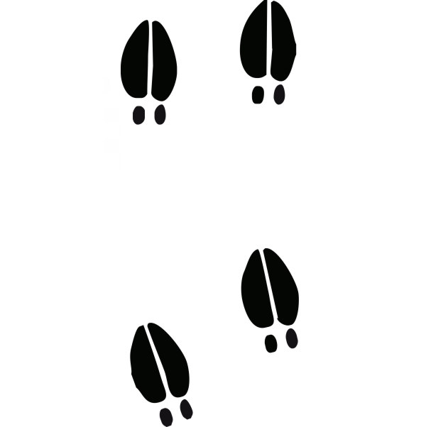 600x602 Moose Clipart Hoof Print