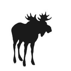 236x236 Business Woman Silhouette Silhouettes Business