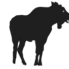 140x140 Moose Silhouette Animal Free Black White Clipart Images