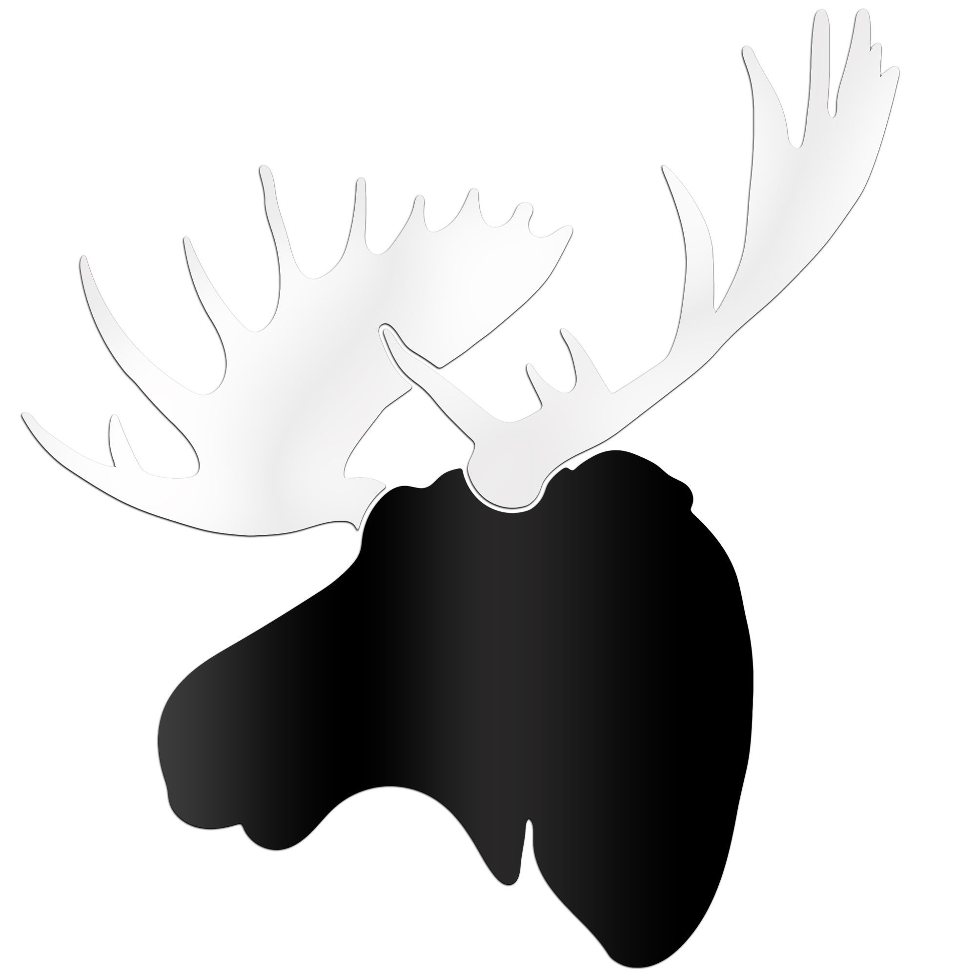 2000x2000 Adam Schwoeppe