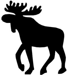 236x264 Moose Drawing