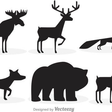 360x360 Moose Archives Page 2 Of 2 My Graphic Hunt