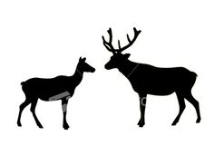 236x182 Arthur's Free Animal Silhouette Clipart Page 2