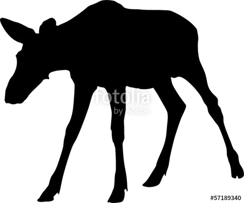 500x416 Silhouette Of Moose Calf Stock Image And Royalty Free Vector