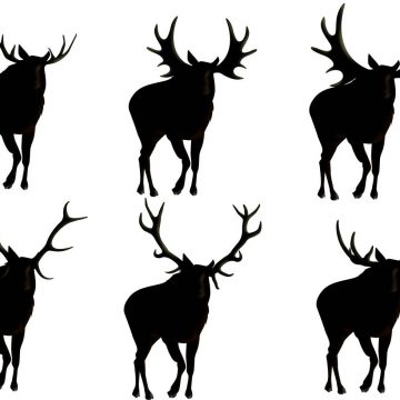 360x360 Moose Silhouettes Archives My Graphic Hunt