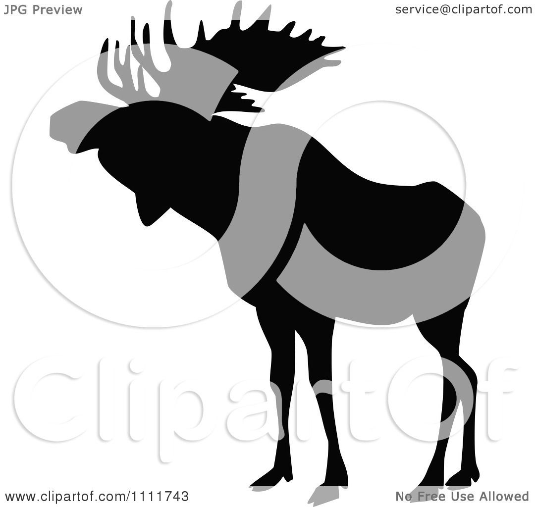 1080x1024 Clipart Silhouetted Moose In Black And White 1