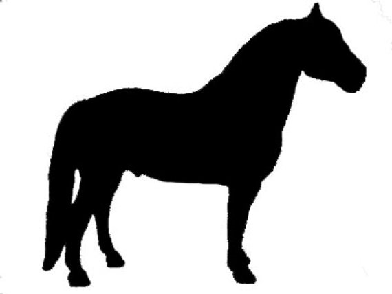 570x428 Morgan Horse Equine Window Decal On A Clear Background Left
