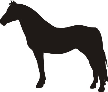 360x305 Signs, Custom Signs, Personalized Address Plaque