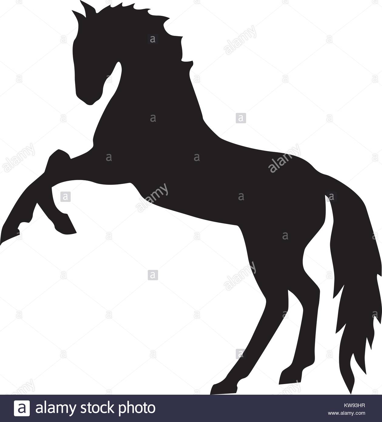 1259x1390 Head Horse Silhouette Stock Photos Amp Head Horse Silhouette Stock