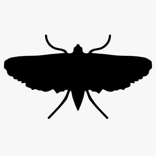 512x512 Silhouette Moths, Insect, Animal, Projection Png Image And Clipart