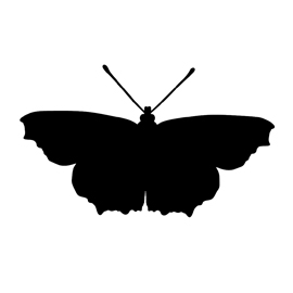 270x270 Butterfly Silhouette Stencil Free Stencil Gallery