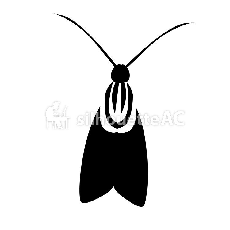 750x750 Free Silhouettes Up, An Illustration