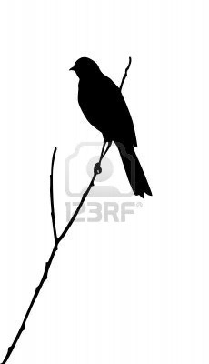 690x1200 Silhouette Of The Bird On White Background Rv Stencils