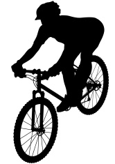 166x235 Mountain Biker Stock Vector