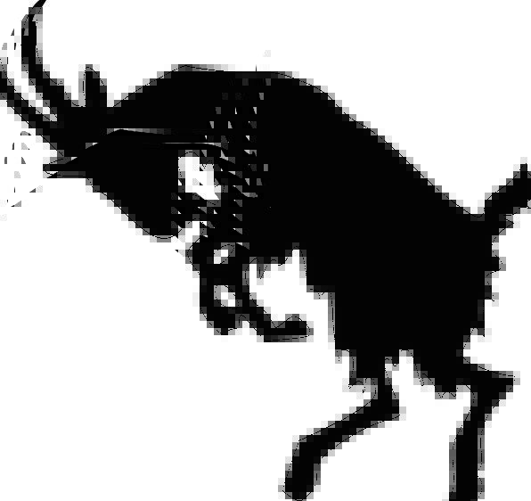 596x562 Goat, Physical, Silhouette, Outline, Animal, Mountain Goat