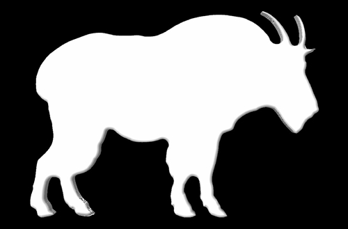 500x329 Cutting Board