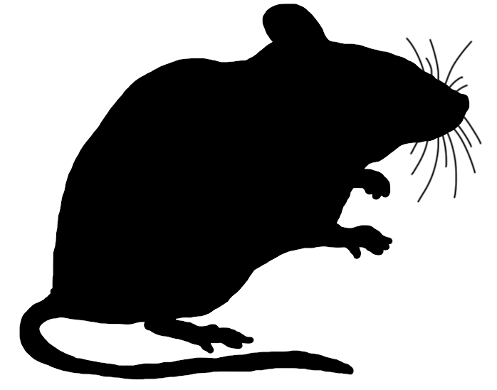 698x548 Mouse Clip Art