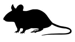 320x179 Mouse Silhouette 2 Decal Sticker