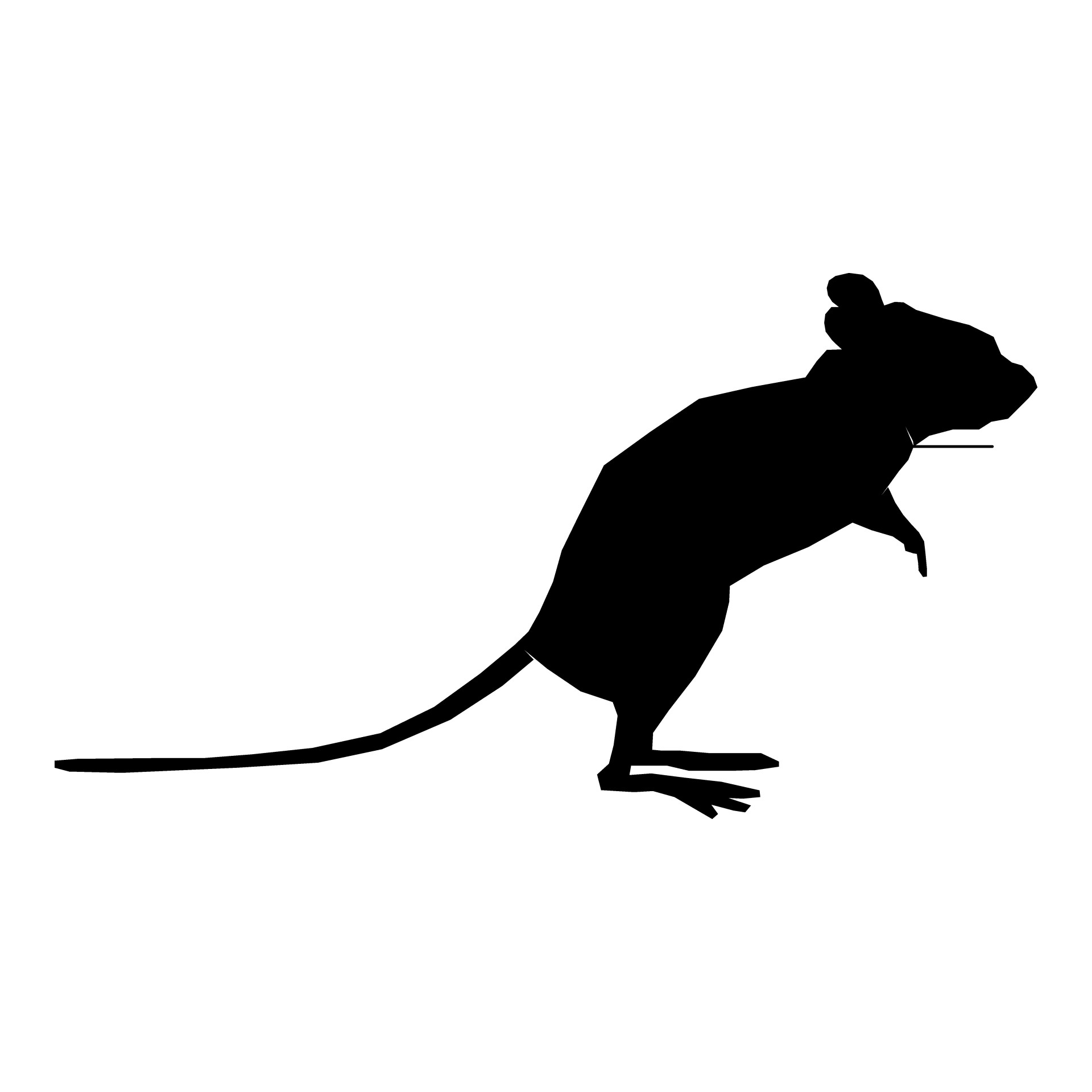1920x1920 Silhouette Mouse Free Stock Photo