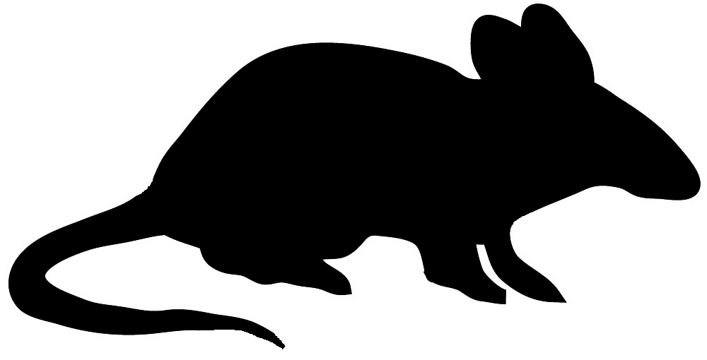1000x510 Animal Silhouette, Silhouette Clip Art