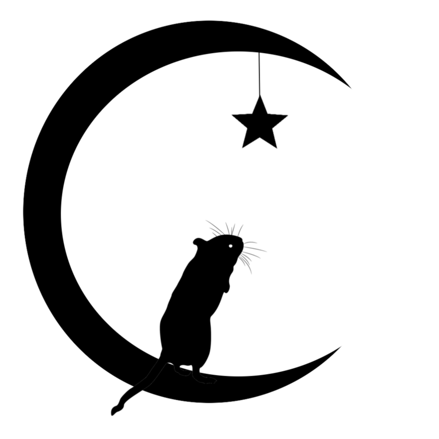 894x894 Mouse Moon Star Silhouette By Viktoria Lyn