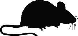 271x126 Mouse Silhouette Silhouette Of Mouse