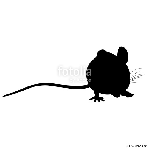 500x500 Mouse Silhouette Vector Graphics Stock Image And Royalty Free