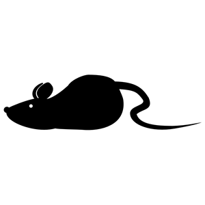 300x300 Mouse Clipart, Cliparts Of Mouse Free Download (Wmf, Eps, Emf, Svg