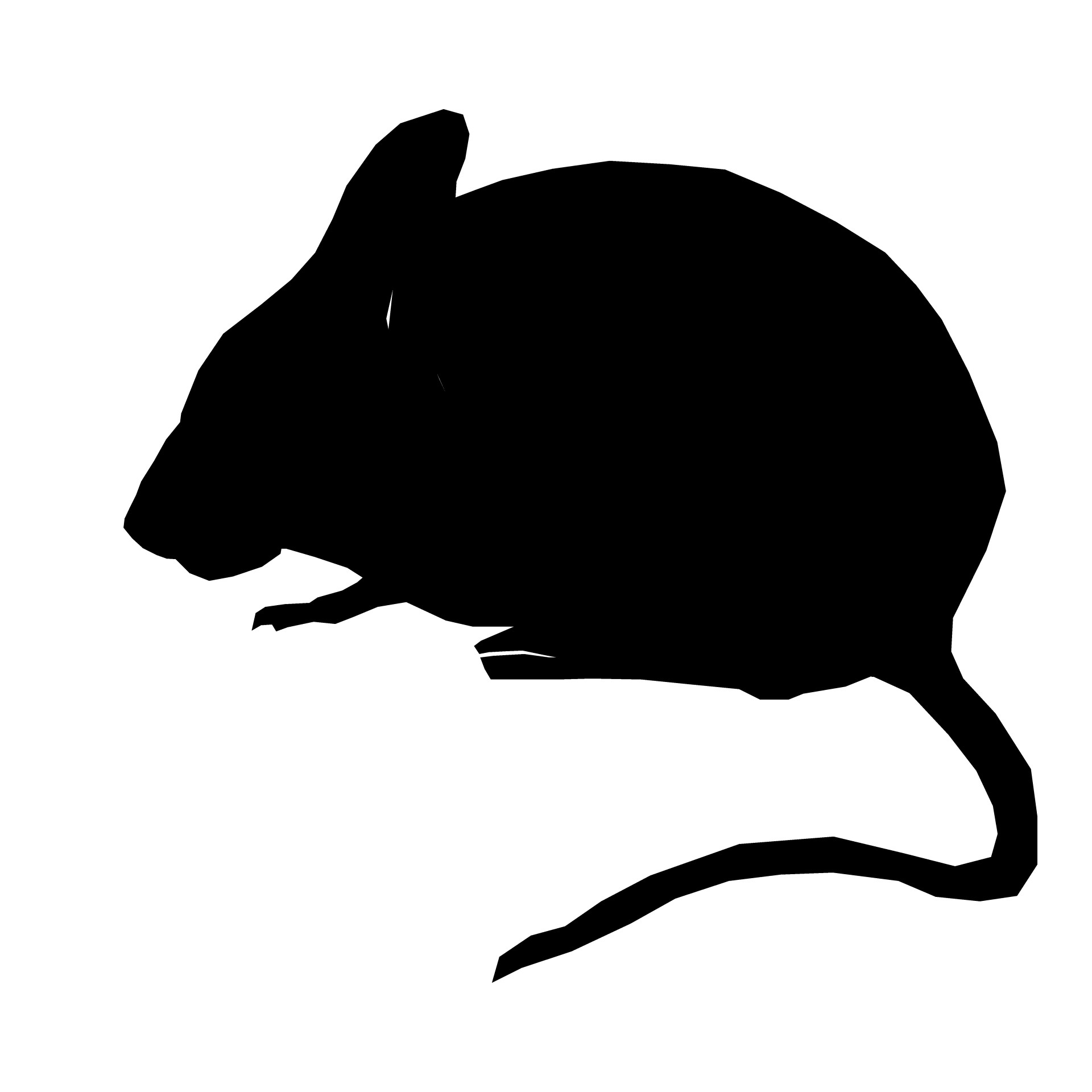1920x1920 Silhouette Mouse Sitting Free Stock Photo