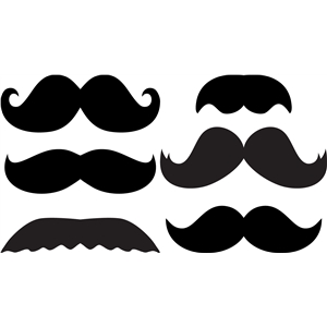 300x300 Silhouette Design Store