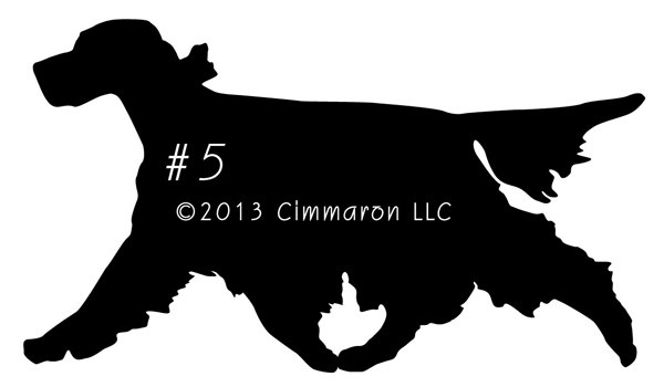 600x350 Moving English Setter (2) Silhouette