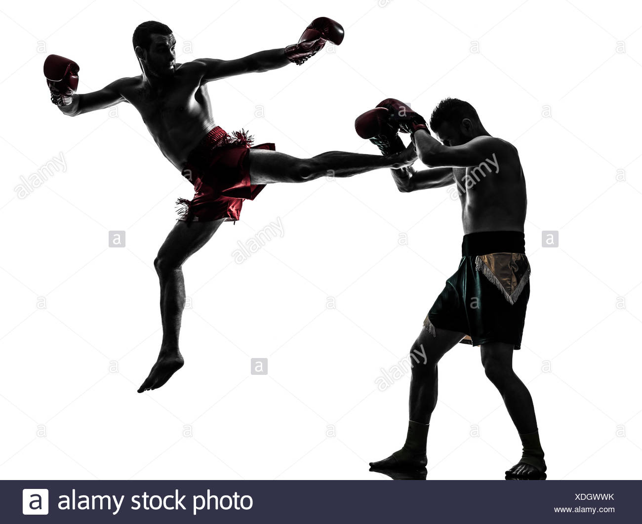 Muay Thai Silhouette at GetDrawings | Free download