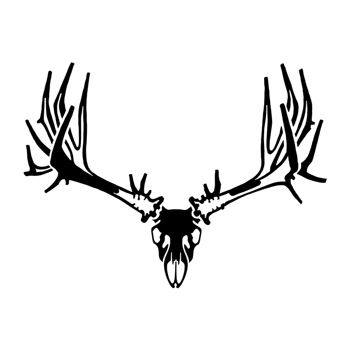715x715 European Skull Mule Deer Window Decal