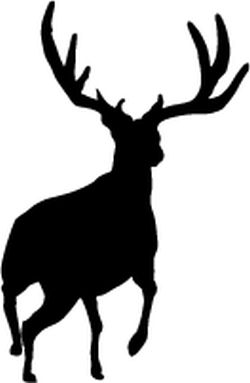 250x383 Big Game Decal