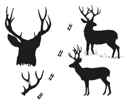 250x208 Vol 19, No 1