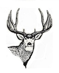 203x251 Bowhunting Mule Deer Tactics To Overcome One Of Hunting's Biggest