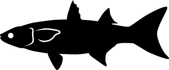 550x229 Mullet Fish Silhouette (Black) Photographic Prints By