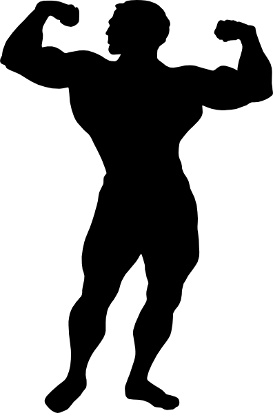 396x599 Muscle Clip Art