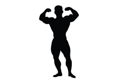 480x309 Silhouette Clipart Bodybuilder Many Interesting Cliparts
