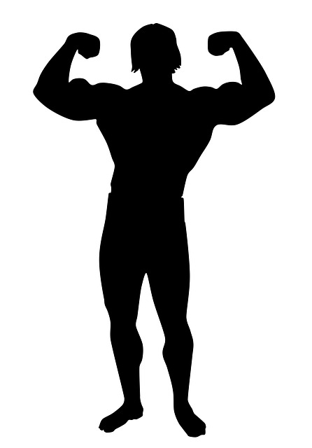 446x640 Free Photo Male Silhouette Academy Muscle Bodybuilding