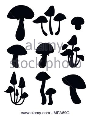 300x380 Mushrooms Black Icon Set Stock Vector Art Amp Illustration, Vector
