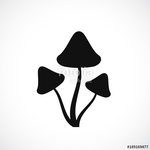 500x500 Psilocybin Hallucinogenic Mushrooms Silhouette Stock Image