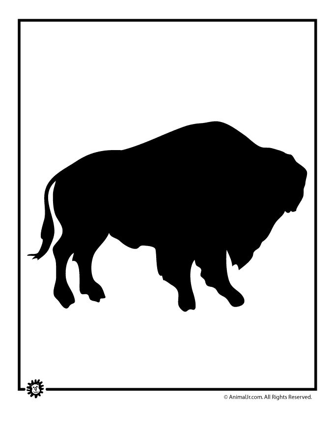 680x880 15 Best Buffalo Images On Bison, Buffalo And A Tattoo