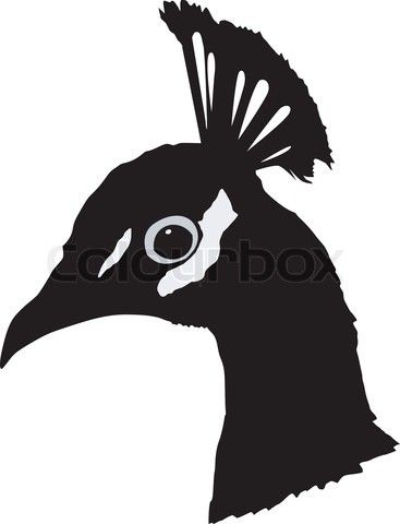 367x480 Silhouette Of Peacock Stock Vector Siluety