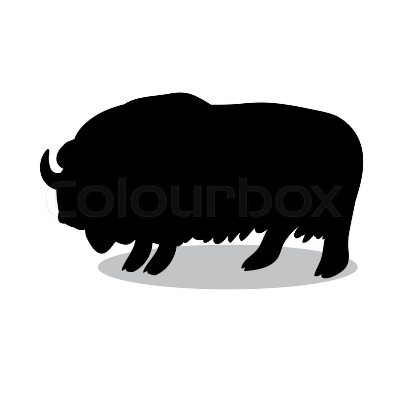 800x800 Bull Musk Ox Mammal Black Silhouette Animal. Vector Illustrator