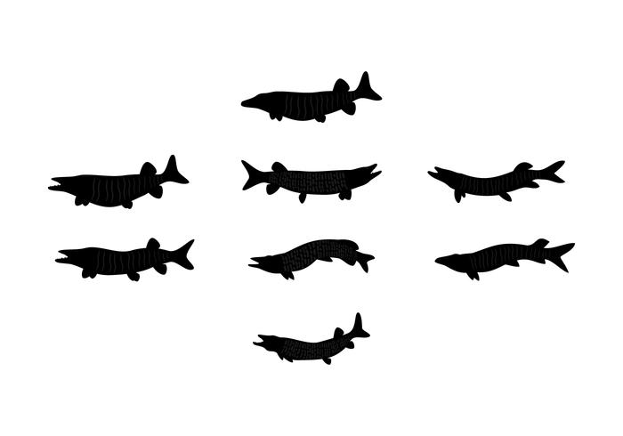700x490 Muskie Silhouette Free Vector
