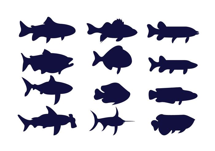 700x490 Tiger Muskie Vector