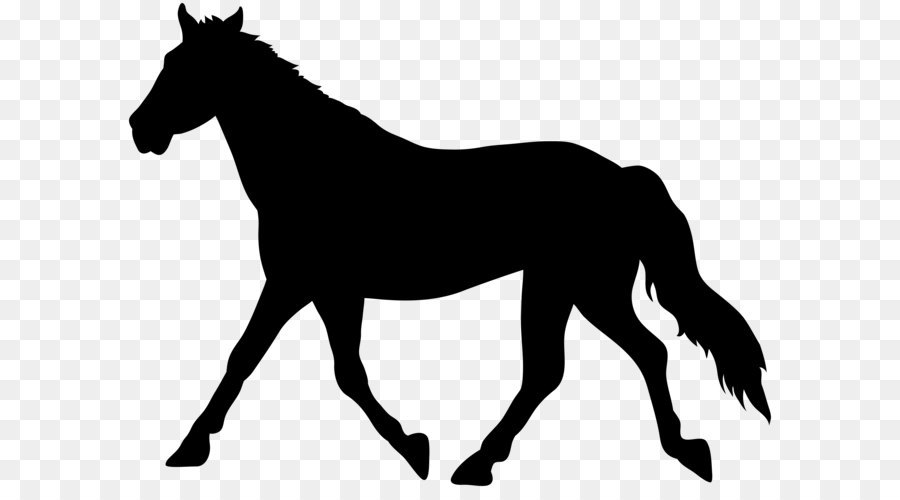 900x500 American Paint Horse Clip Art