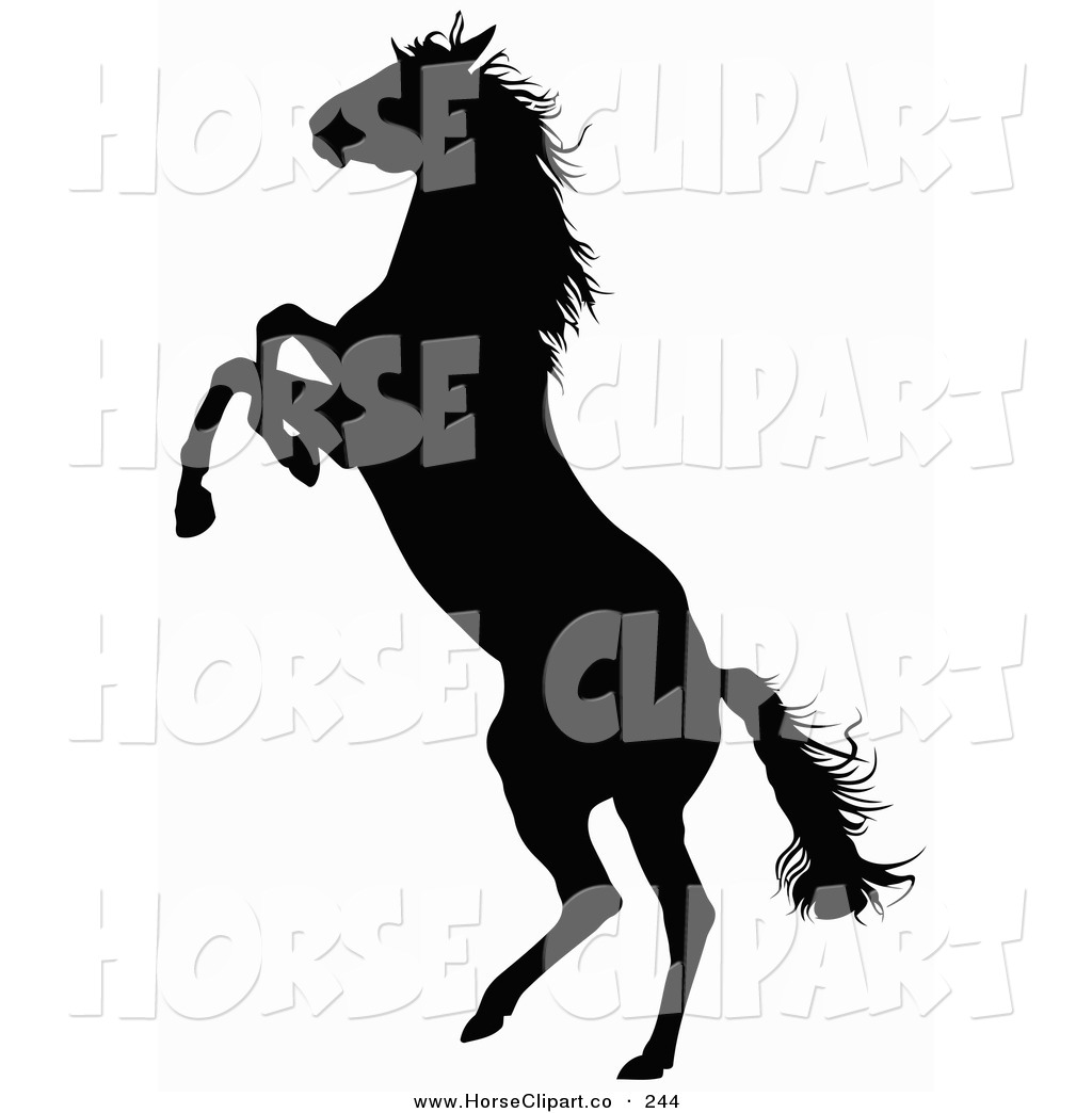 1024x1044 Rearing Horse Silhouette Clipart
