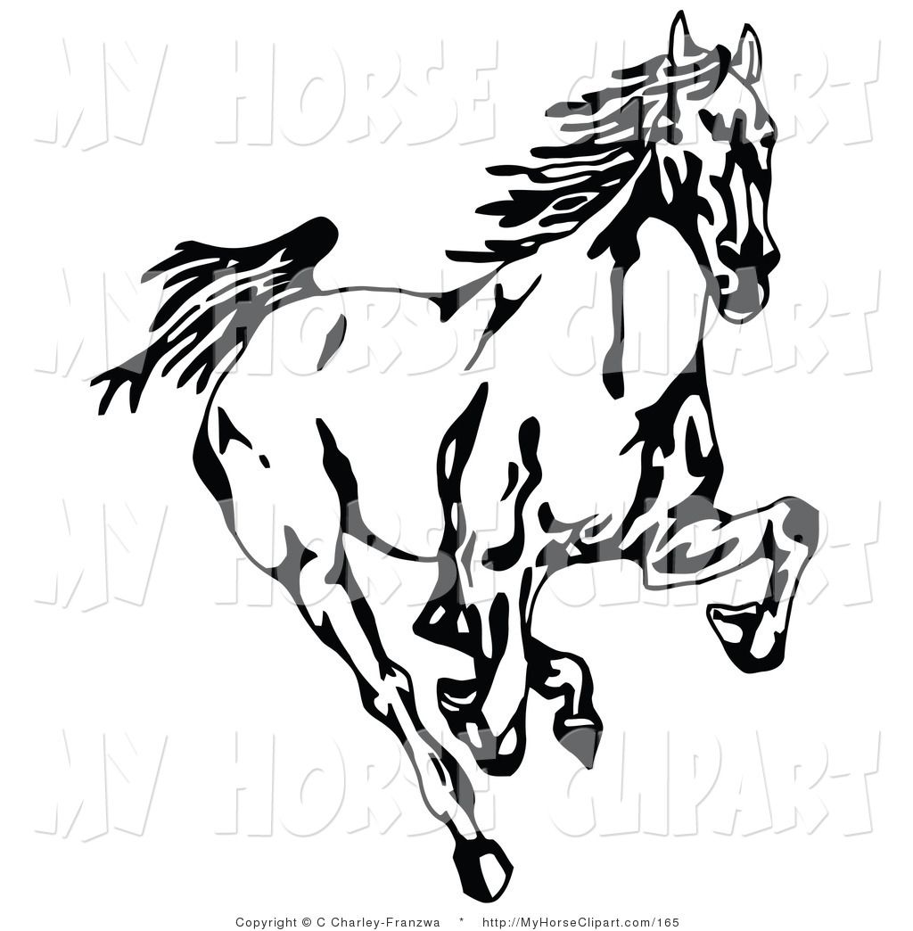 1024x1044 Clip Art Of A Black And White Wild Mustang Horse Running Forward